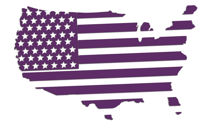 naklejka-usa-flaga-mapa-fioletowa.jpg