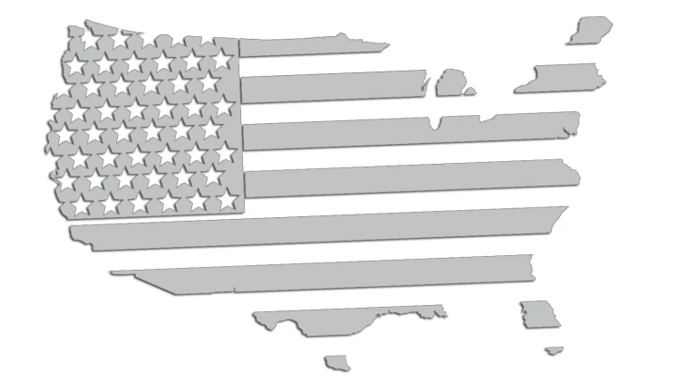 naklejka-usa-flaga-mapa-jasny-szary.jpg