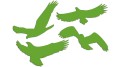 naklejki-ptaki-4-sztuki-jasny-zielony.jpg
