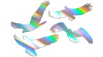 Naklejki PTAKI 4 SZTUKI - holograficzna