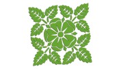 naklejka-kwiat-liscie-jasny-zielony.jpg
