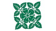 naklejka-kwiat-liscie-zielona.jpg
