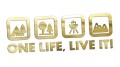 naklejka-one-life-live-it-zloty-chrom.jpg