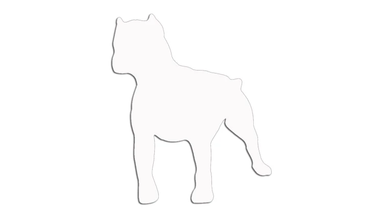 naklejka-pitbull-4-biala.jpg