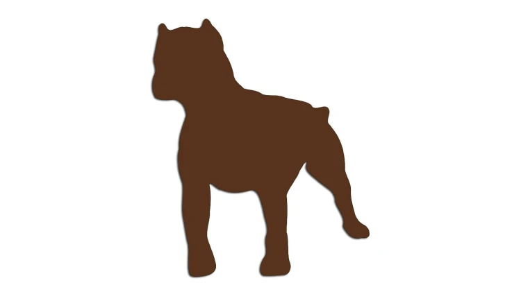 naklejka-pitbull-4-ciemny-brazowy.jpg
