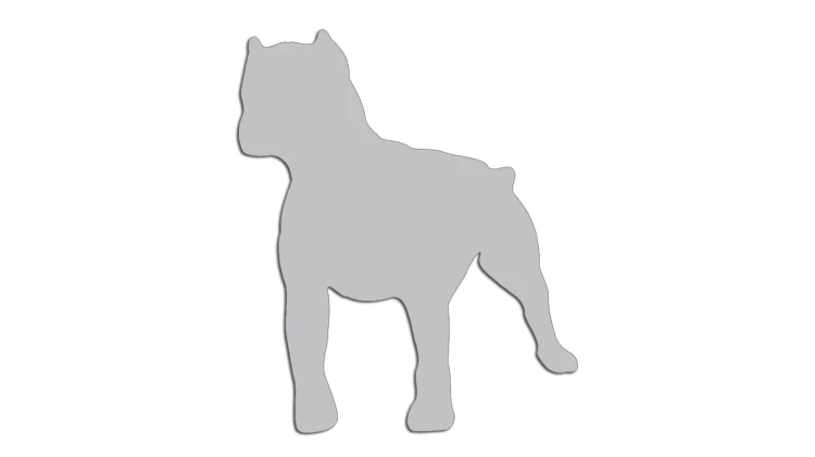 naklejka-pitbull-4-jasny-szary.jpg