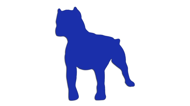 naklejka-pitbull-4-modrakowa.jpg