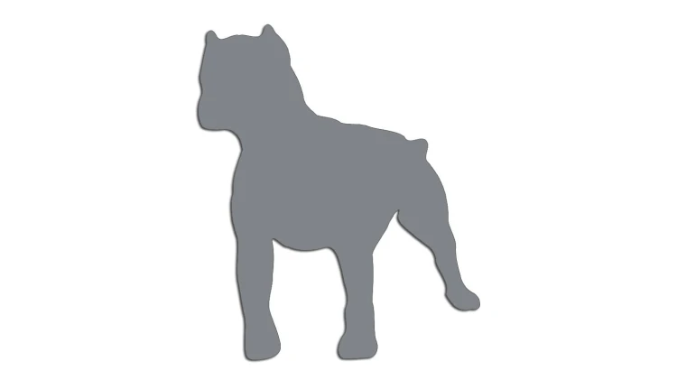 naklejka-pitbull-4-szara.jpg
