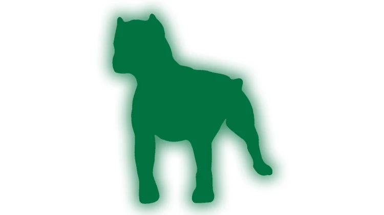 naklejka-pitbull-4-zielony-odblask.jpg