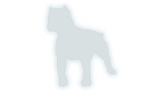 Naklejka PITBULL - Sylwetka Psa - Drapieżny Wzór odblaskowa