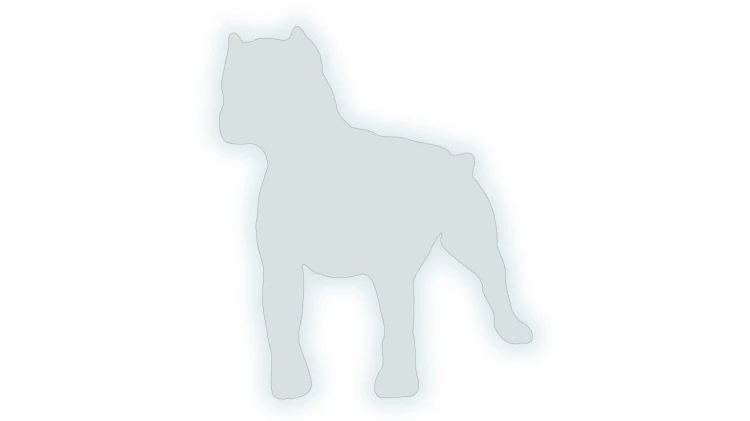 Naklejka PITBULL - Sylwetka Psa - Drapieżny Wzór odblaskowa