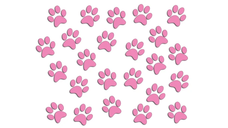 naklejki-lapki-lapy-kot-pies-24-sztuki-jasny-rozowy.jpg
