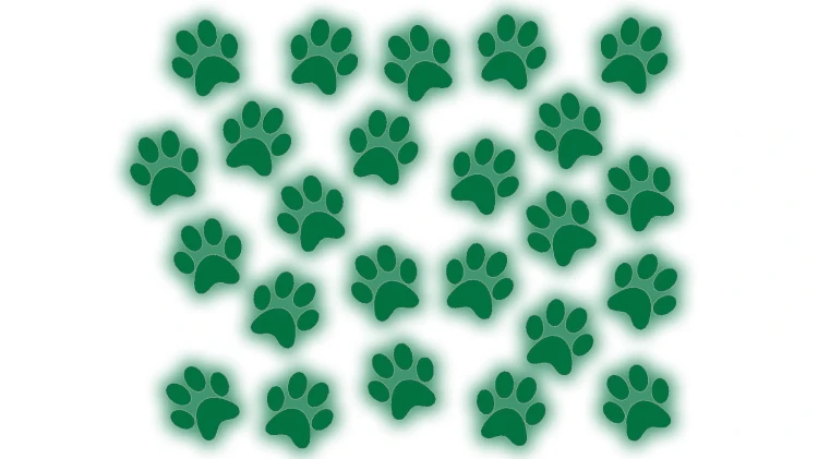 naklejki-lapki-lapy-kot-pies-24-sztuki-zielony-odblask.jpg