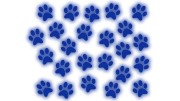 naklejki-lapki-lapy-kot-pies-24-sztuki-niebieski-odblask.jpg