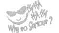naklejka-joker-why-so-serious-ha-ha-ha-jasny-szary.jpg