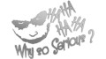 naklejka-joker-why-so-serious-ha-ha-ha-srebrna.jpg