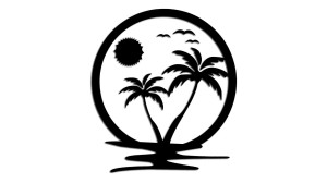 PALMY PLAŻA SŁOŃCE - kolory - połysk/mat