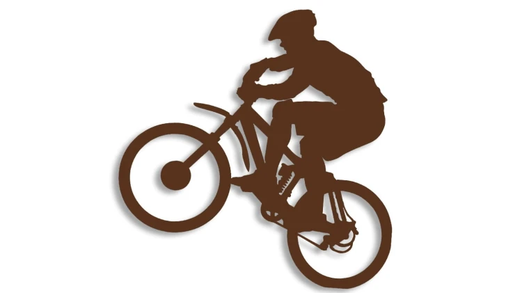naklejka rower mtb 1 ciemny brazowy.jpg