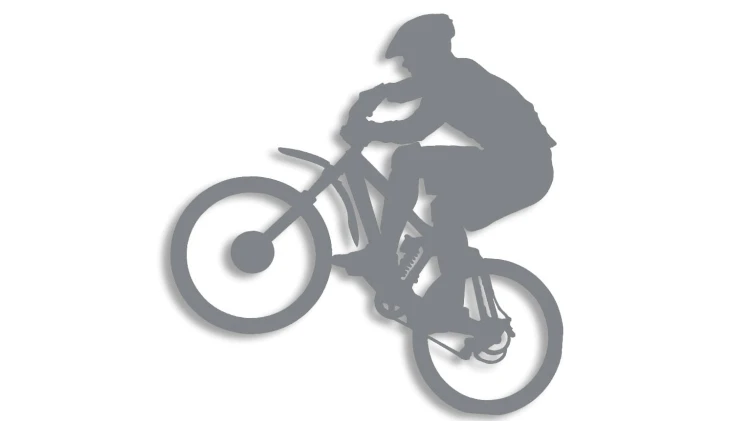 naklejka rower mtb 1 szara.jpg
