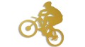 naklejka rower mtb 1 zlota.jpg