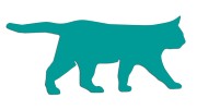 naklejka-spacerujacy-kot-turkusowa.jpg