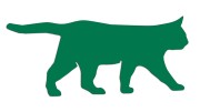 naklejka-spacerujacy-kot-zielona.jpg