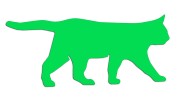 naklejka-spacerujacy-kot-zielona-neon.jpg