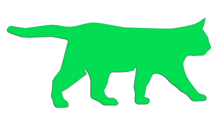 naklejka-spacerujacy-kot-zielona-neon.jpg