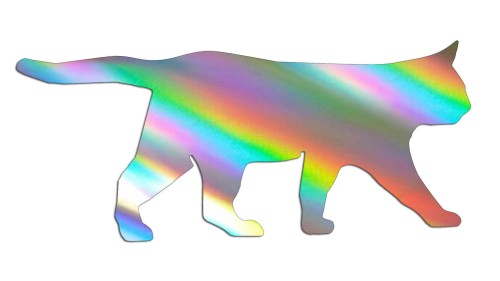 naklejka-spacerujacy-kot-holograficzna.jpg