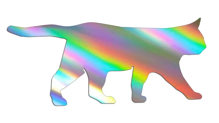 naklejka-spacerujacy-kot-holograficzna.jpg