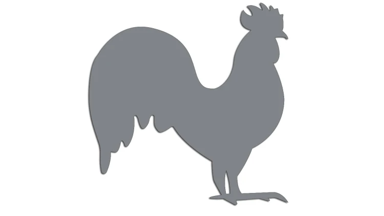 naklejka-kogut-szara.jpg