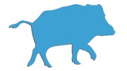 naklejka-dzik-blekitna.jpg