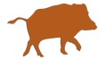 naklejka-dzik-brazowa.jpg