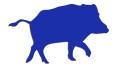 naklejka-dzik-modrakowa.jpg
