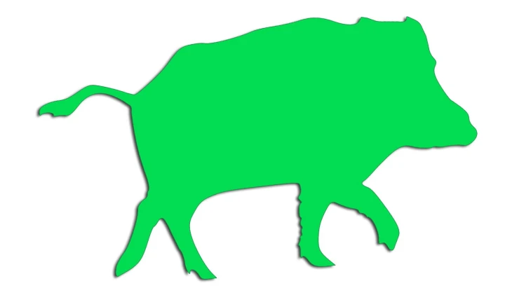 naklejka-dzik-zielona-neon.jpg