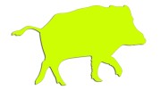 naklejka-dzik-zolta-neon.jpg