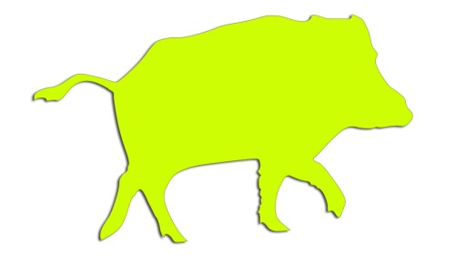 naklejka-dzik-zolta-neon.jpg