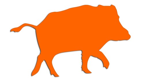 naklejka-dzik-pomaranczowa-neon.jpg