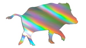 DZIK - holograficzna