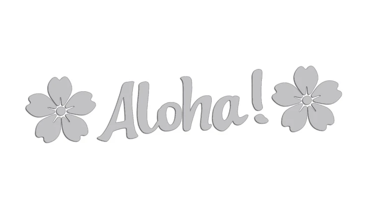 naklejka-aloha-jasny-szary.jpg