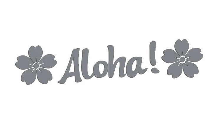 naklejka-aloha-szara.jpg