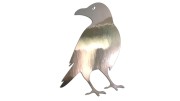 naklejka-kruk-chrom.jpg
