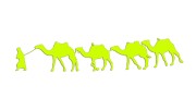 naklejka-karawana-zolta-neon.jpg