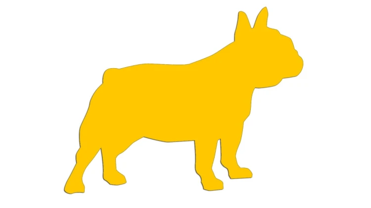 naklejka-buldog-francuski-2-zolta.jpg