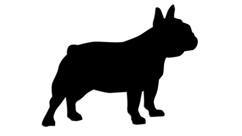 naklejka-buldog-francuski-2.jpg