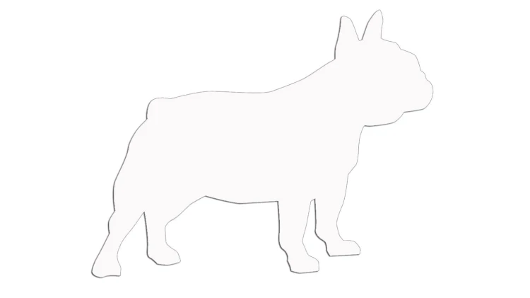 naklejka-buldog-francuski-2-biala.jpg