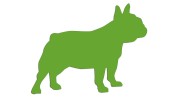 naklejka-buldog-francuski-2-jasny-zielony.jpg