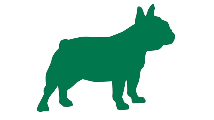 naklejka-buldog-francuski-2-zielona.jpg