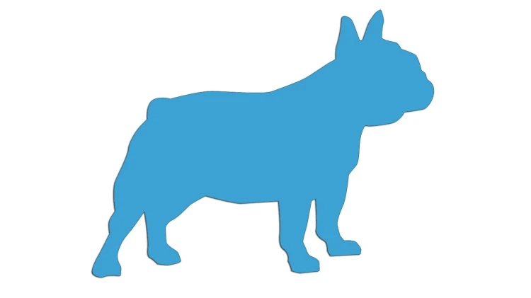 naklejka-buldog-francuski-2-blekitna.jpg