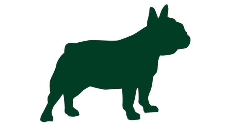 naklejka-buldog-francuski-2-ciemny-zielony.jpg
